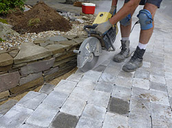 Cutting Pavers Block By Bill Gardocki,Where To Buy An Orchid Mantis
